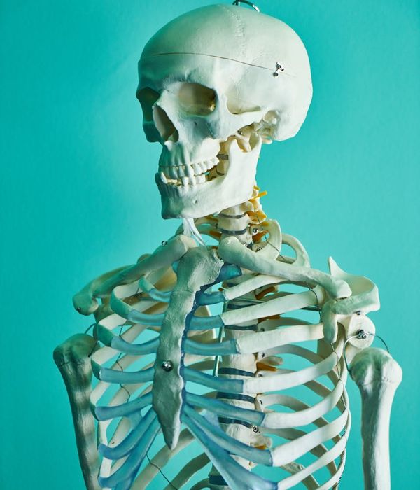 Educational mission illustration