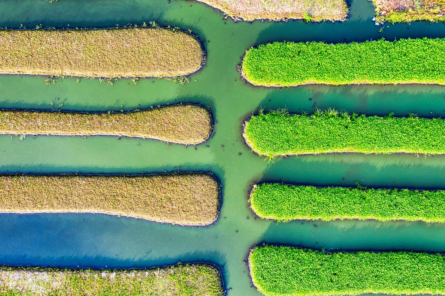 Telegram channel growth strategies